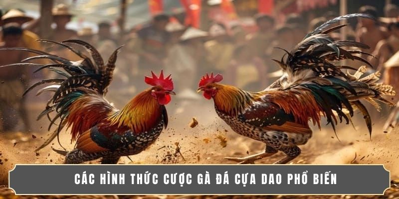 ĐÁ GÀ CỰA DAO | THÚ VUI CỰC HOT DÀNH CHO CÁC TÍN ĐỒ 2 Các hình thức cược gà đá cựa dao phổ biến