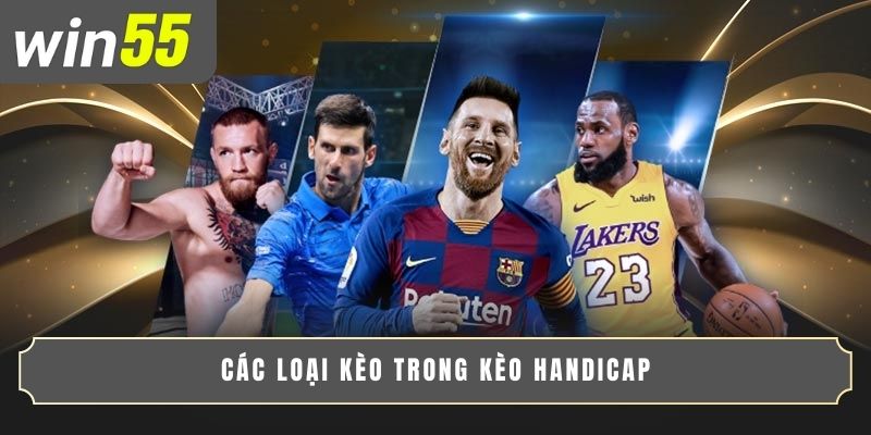 KINH NGHIỆM SOI KÈO CHÂU Á CHUẨN XÁC TỪ CHUYÊN GIA 3 Các loại kèo trong kèo handicap