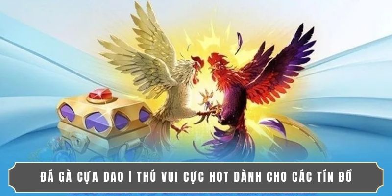 ĐÁ GÀ CỰA DAO | THÚ VUI CỰC HOT DÀNH CHO CÁC TÍN ĐỒ