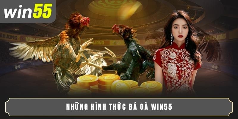 Những hình thức đá gà WIN55