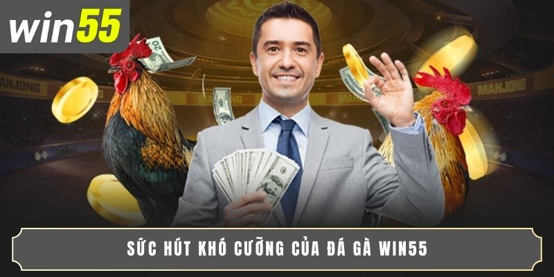 Sức hút khó cưỡng của đá gà WIN55