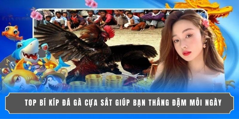 TOP BÍ KÍP ĐÁ GÀ CỰA SẮT GIÚP BẠN THẮNG ĐẬM MỖI NGÀY