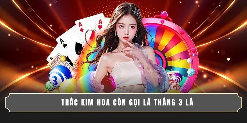 BÍ KÍP CHƠI TRẮC KIM HOA GIÚP BẠN THẮNG ĐẬM MỖI NGÀY 2 Trắc Kim Hoa còn gọi là Thắng 3 Lá